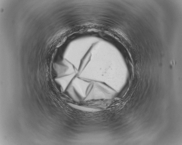 X0000070191111200606161543