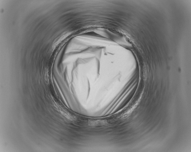 X0000070191113200606161543