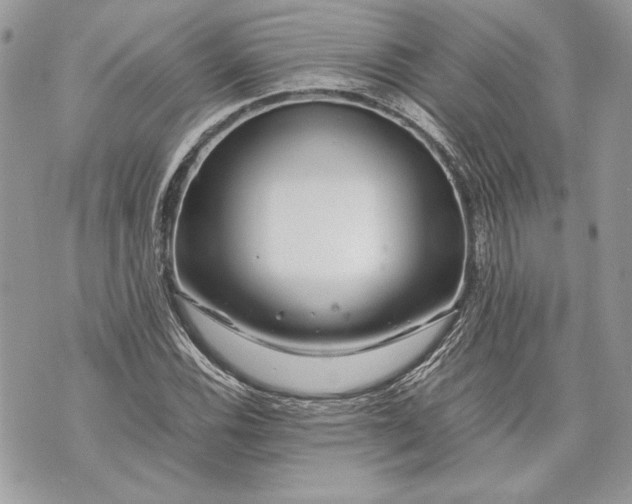 X0000070191116200606161544