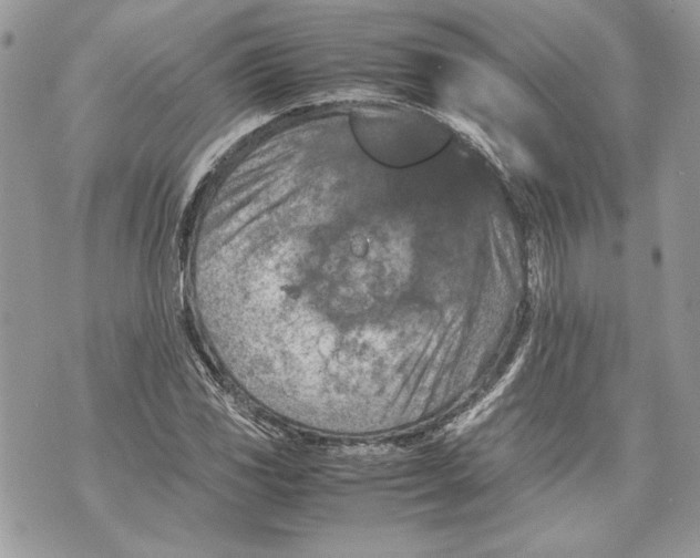 X0000070191117200606161544