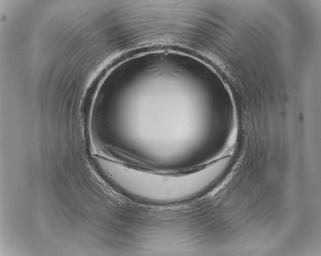 X0000070191118200606161544