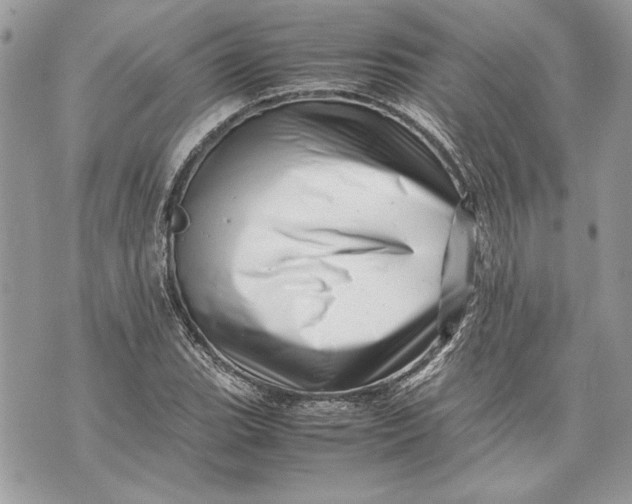 X0000070191119200606161544