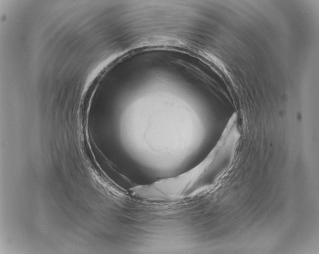 X0000070191120200606161544