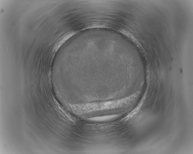 X0000070191121200606161544