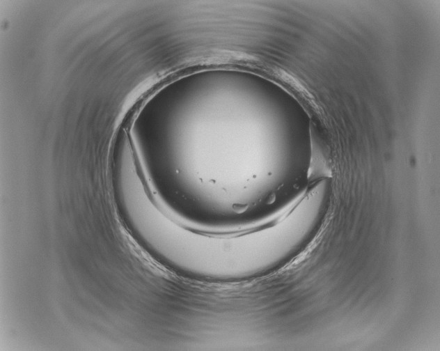 X0000070191122200606161544