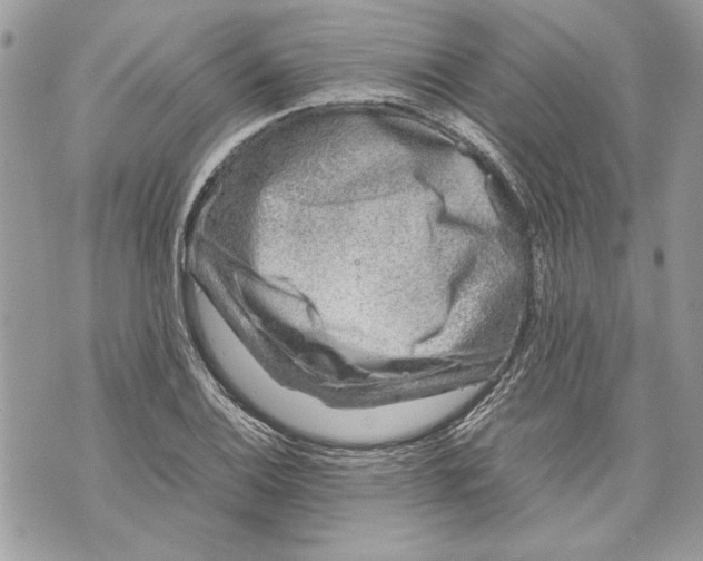 X0000070191124200606161544