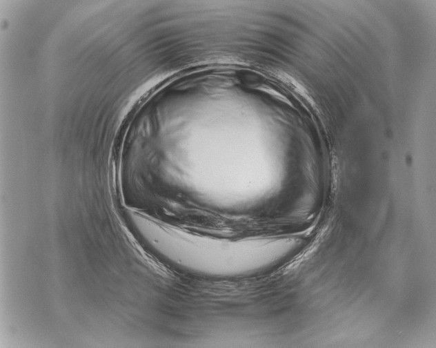 X0000070191125200606161544