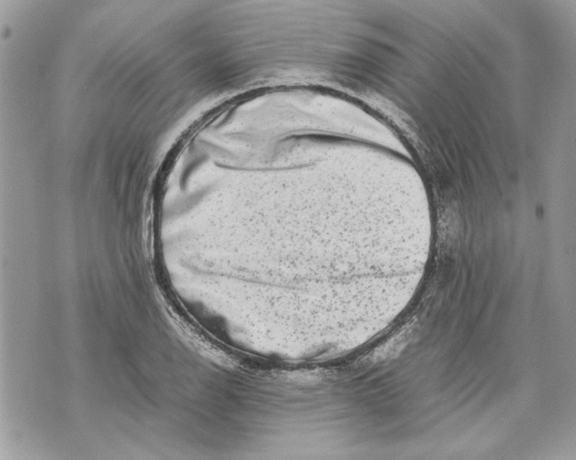 X0000070191126200606161544