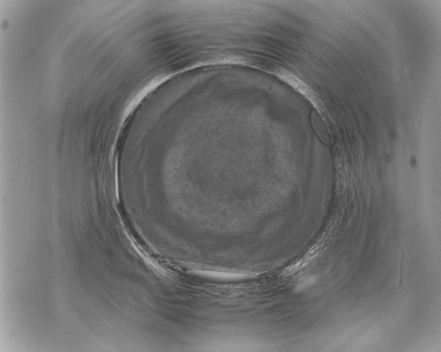 X0000070191127200606161544