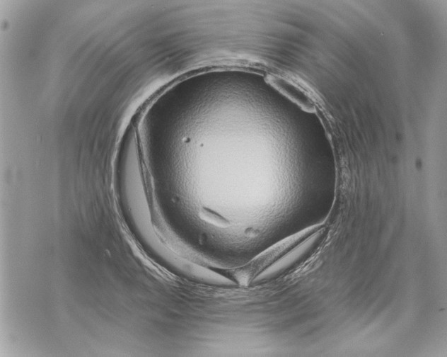 X0000070191128200606161544