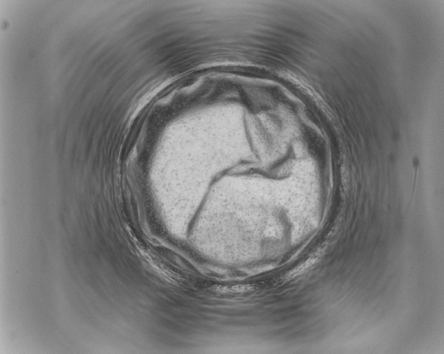 X0000070191129200606161544