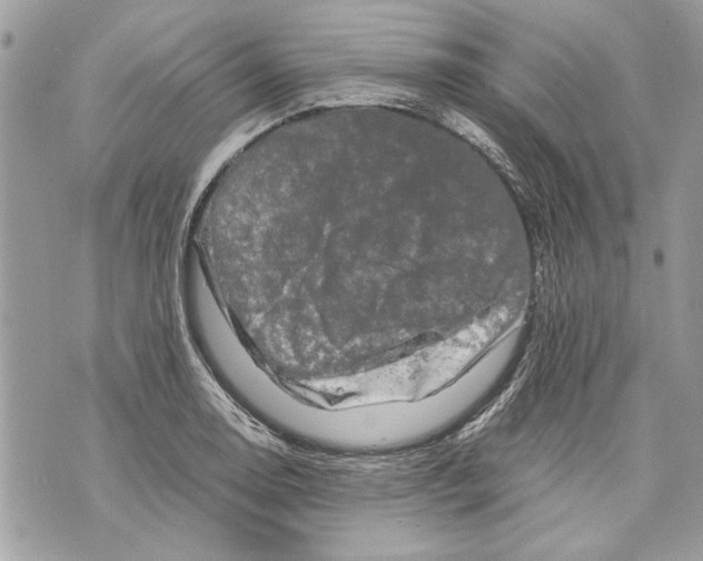 X0000070191130200606161544