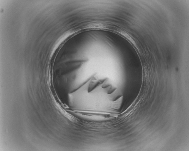 X0000070191131200606161544