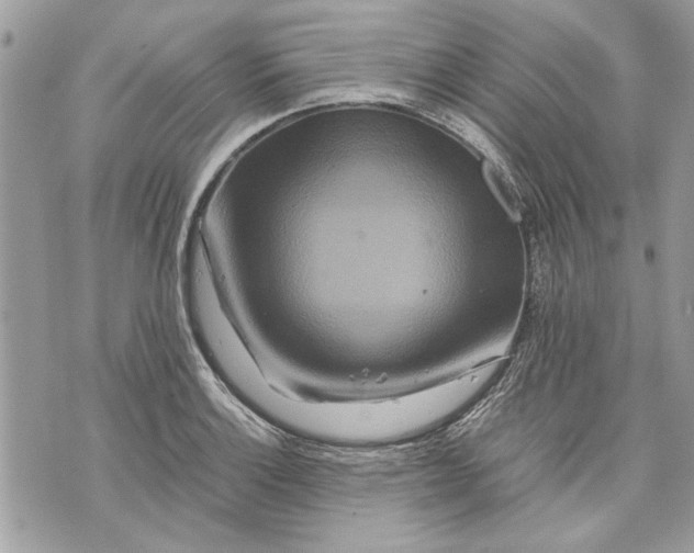 X0000070191132200606161544