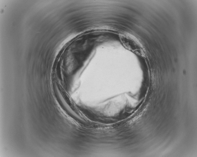 X0000070191133200606161544