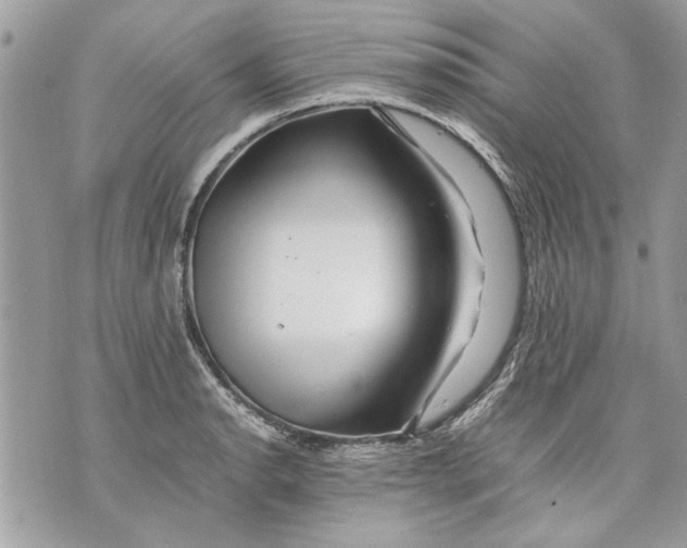 X0000070191134200606161544