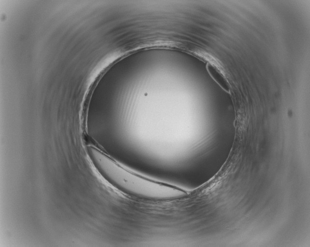 X0000070191135200606161544