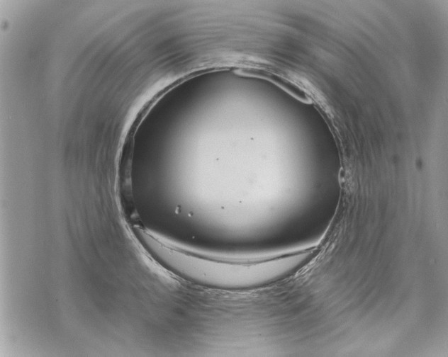 X0000070191136200606161544