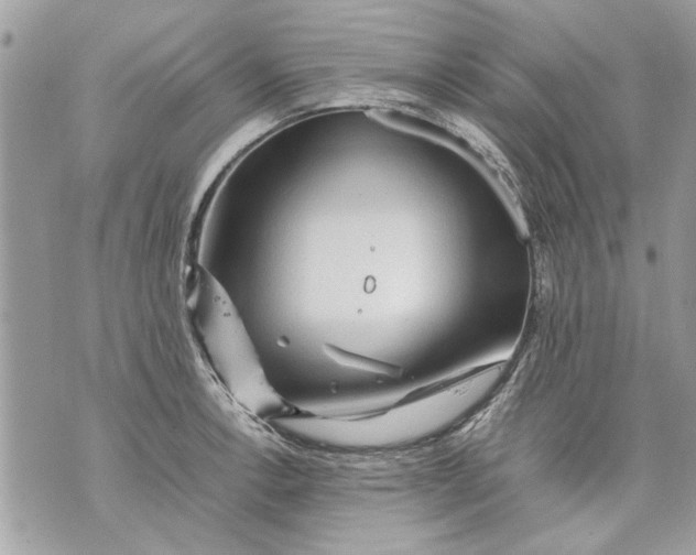 X0000070191138200606161544