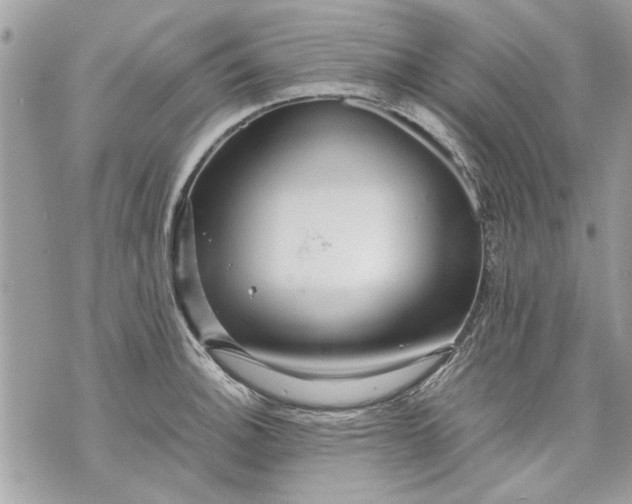 X0000070191140200606161544