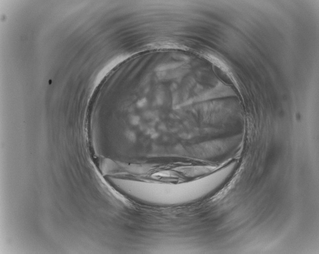 X0000070191141200606161544