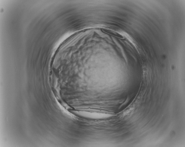 X0000070191143200606161544