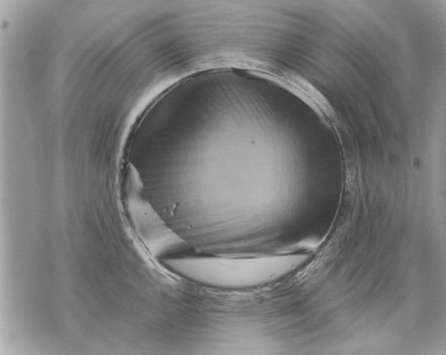 X0000070191144200606161544