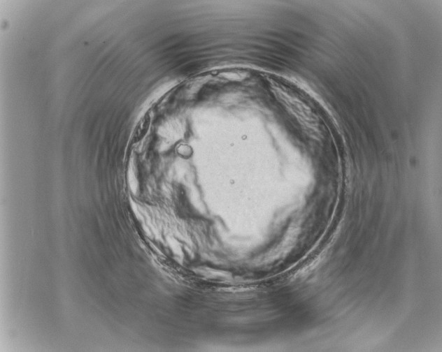 X0000070191145200606161544