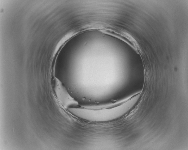 X0000070191146200606161544