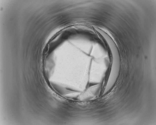 X0000070191147200606161544