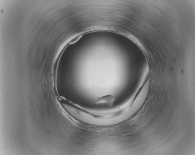 X0000070191148200606161544