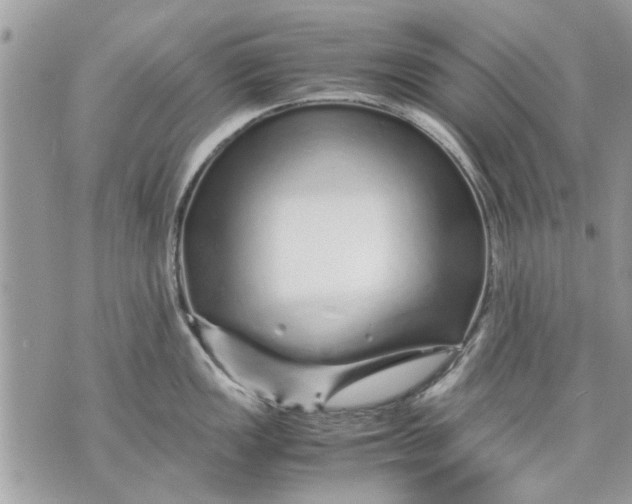 X0000070191149200606161544