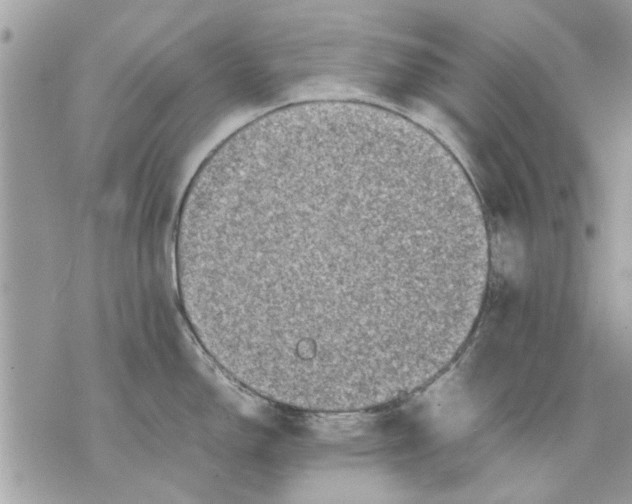 X0000070191150200606161544