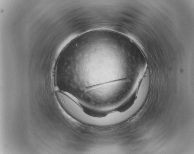 X0000070191151200606161544