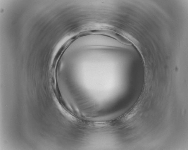 X0000070191152200606161544