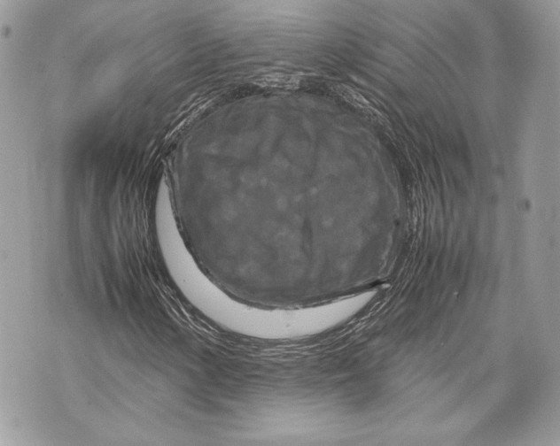 X0000070191154200606161543