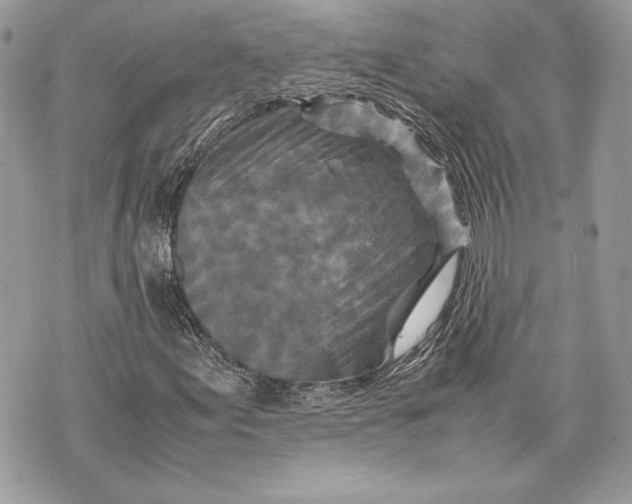 X0000070191155200606161543