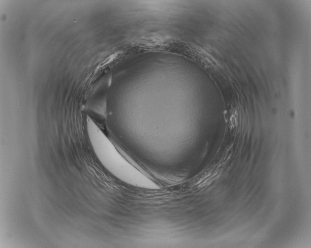 X0000070191156200606161543