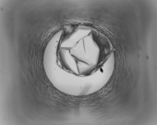 X0000070191157200606161543