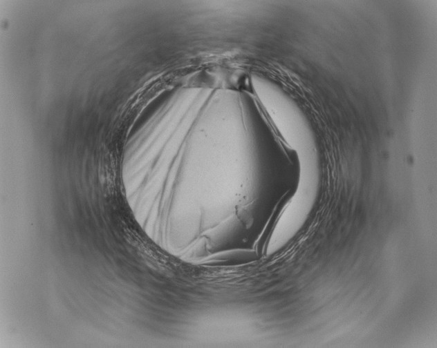 X0000070191158200606161543