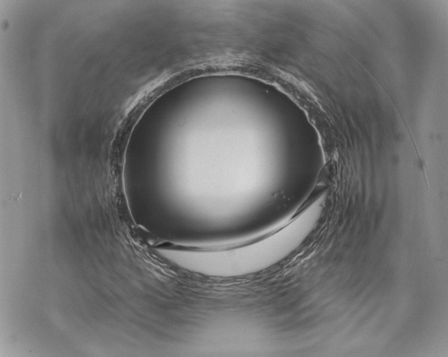 X0000070191160200606161543