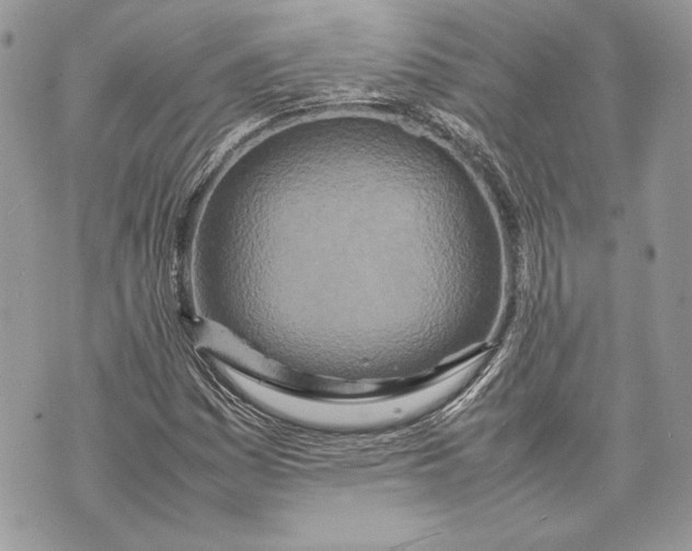 X0000070191161200606161543