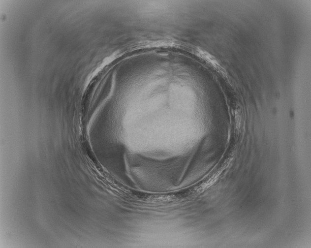 X0000070191165200606161543