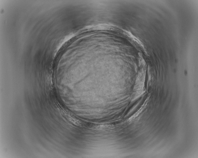 X0000070191166200606161543