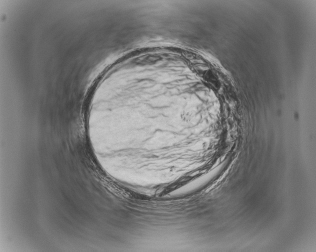 X0000070191167200606161543