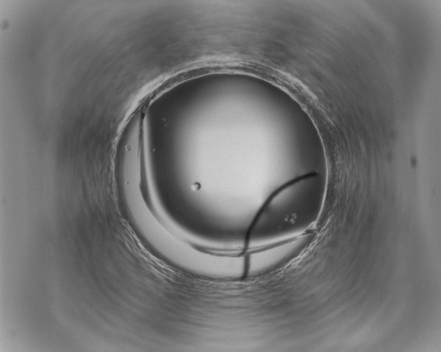 X0000070191168200606161543