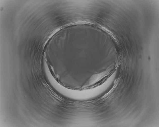 X0000070191170200606161543