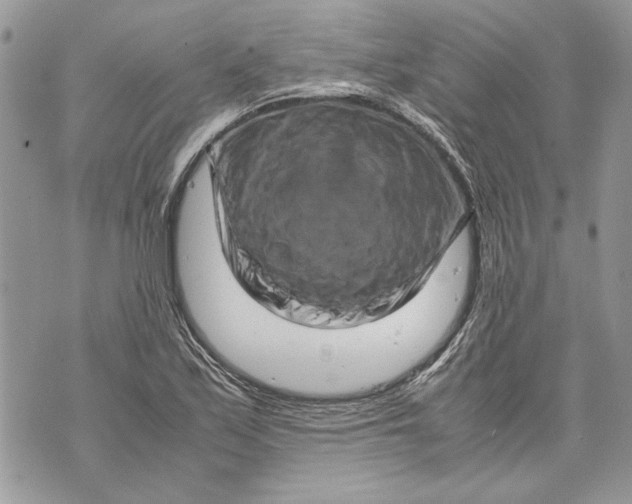 X0000070191171200606161543