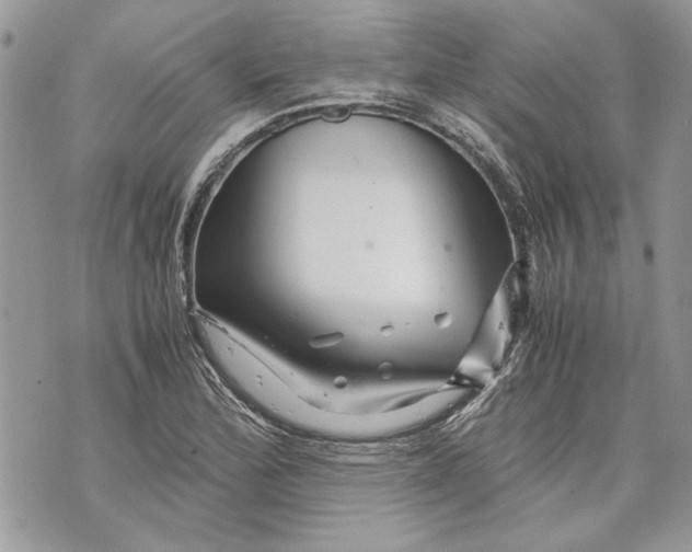 X0000070191172200606161543