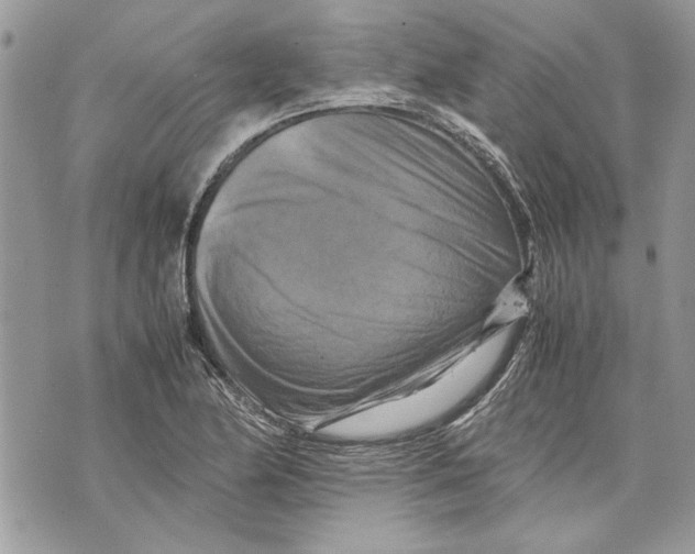 X0000070191174200606161543